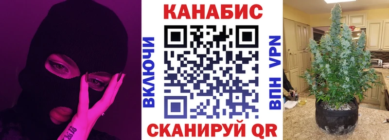 купить наркотики сайты  Порхов  Бошки марихуана конопля 